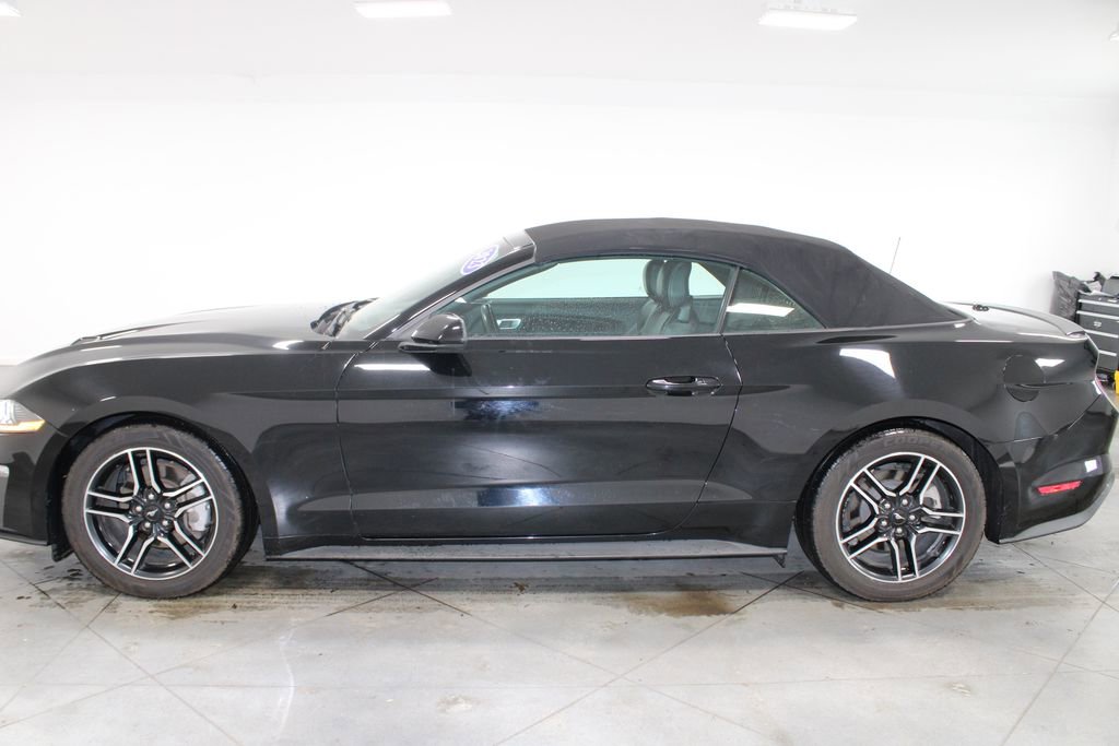 Used 2023 Ford Mustang Premium image 7