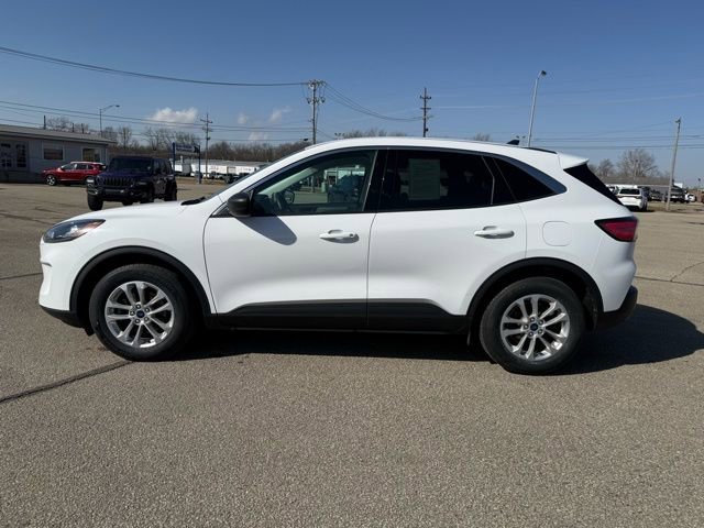 Used 2022 Ford Escape SE image 3