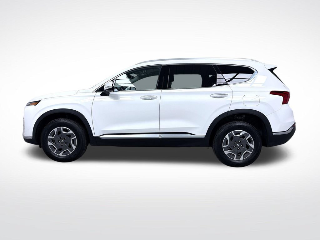 Used 2022 Hyundai Santa Fe Blue AWD/4WD image 11