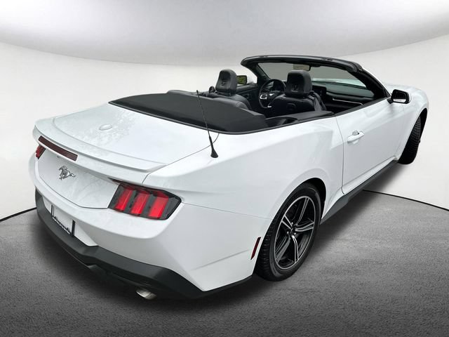 Used 2024 Ford Mustang Premium RWD image 17