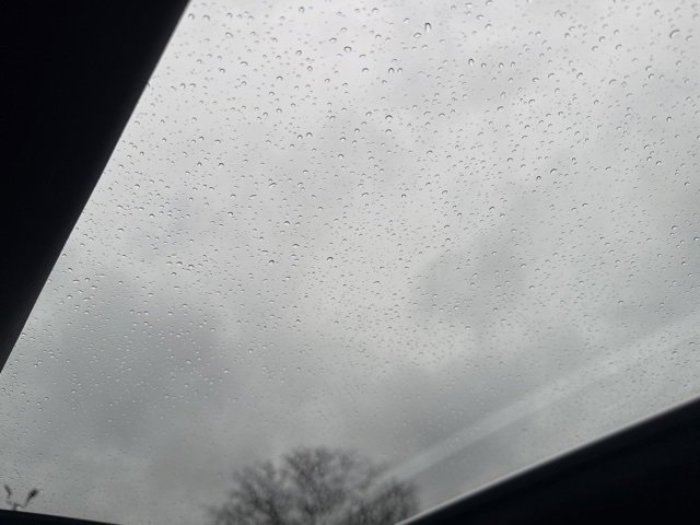 Used 2025 Audi S5 Premium Plus w/ Premium Plus Package image 41