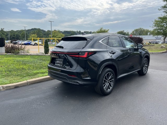 Used 2025 Lexus NX 350h AWD w/ Cold Area Package image 3