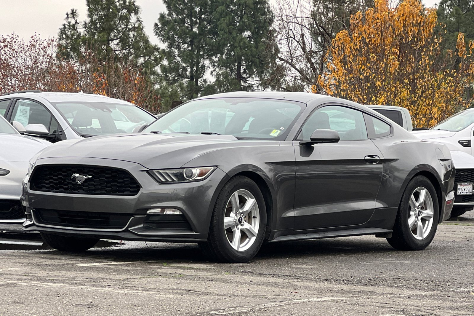Used 2015 Ford Mustang Coupe image 8