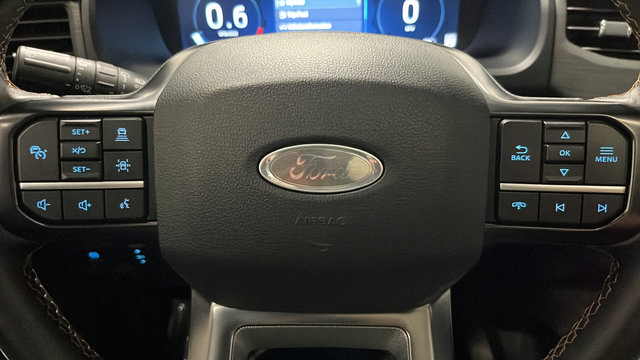 Used 2024 Ford Expedition Platinum AWD/4WD image 16