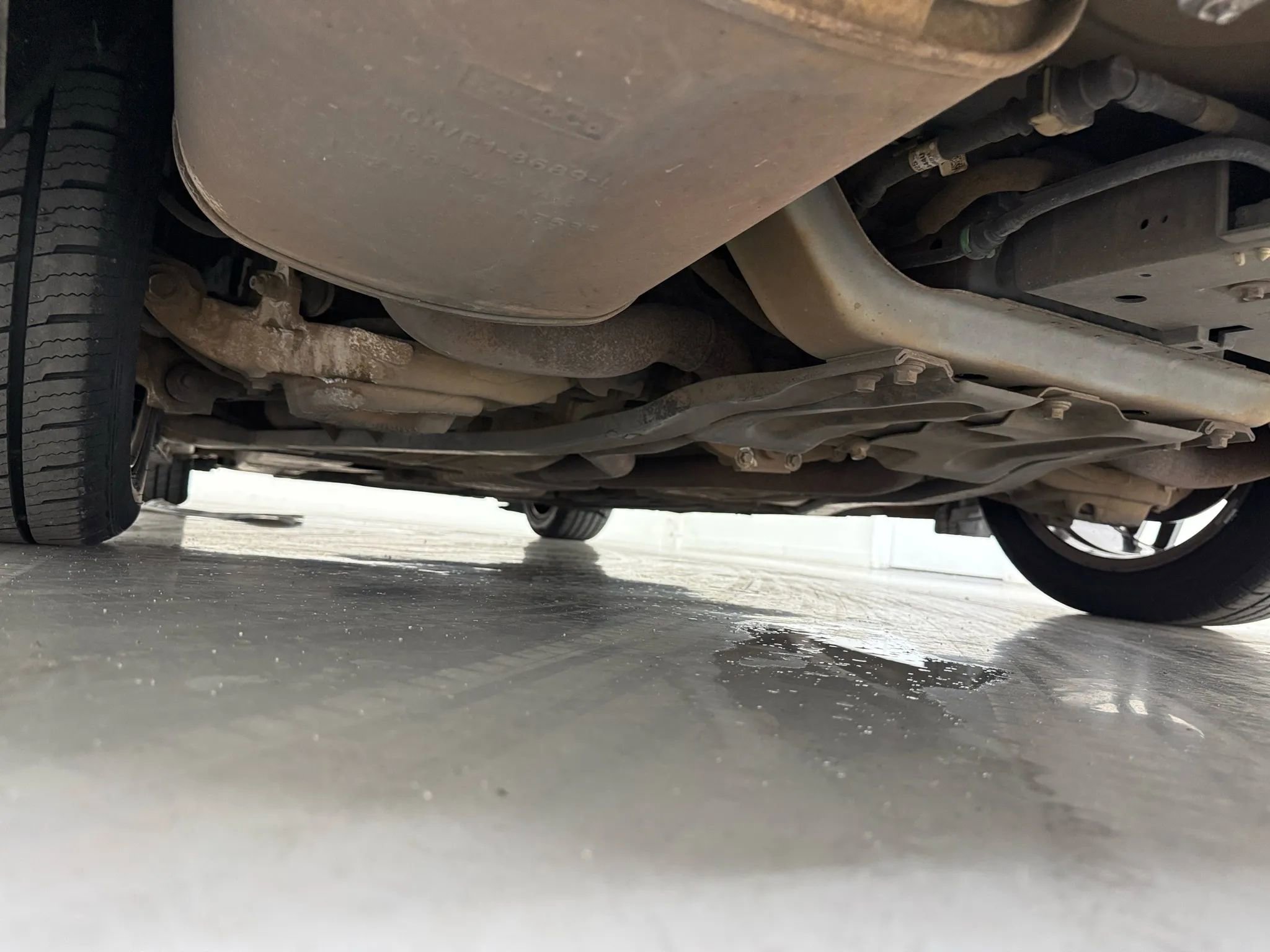 Used 2019 Ford Mustang Premium image 47