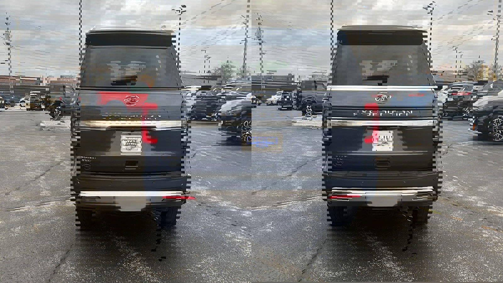 Used 2022 Ford Expedition Platinum image 6