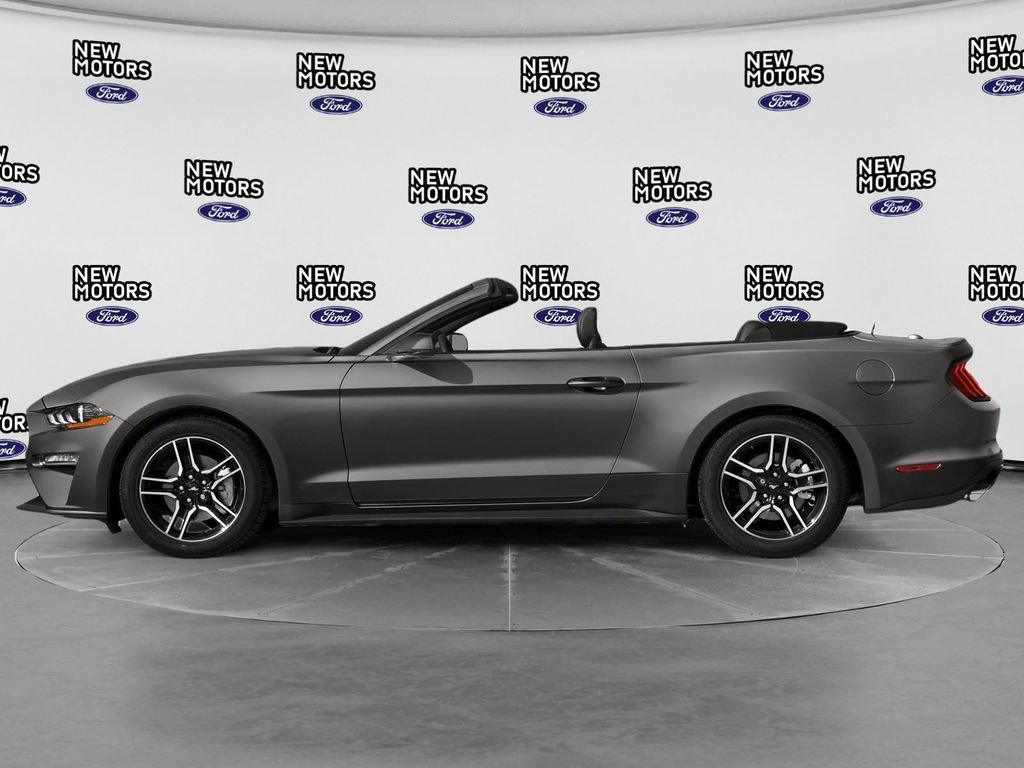 Used 2019 Ford Mustang Premium w/ Equipment Group 201A RWD image 3