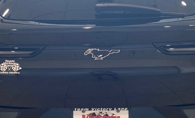 Used 2021 Ford Mustang Mach-E Premium RWD image 6