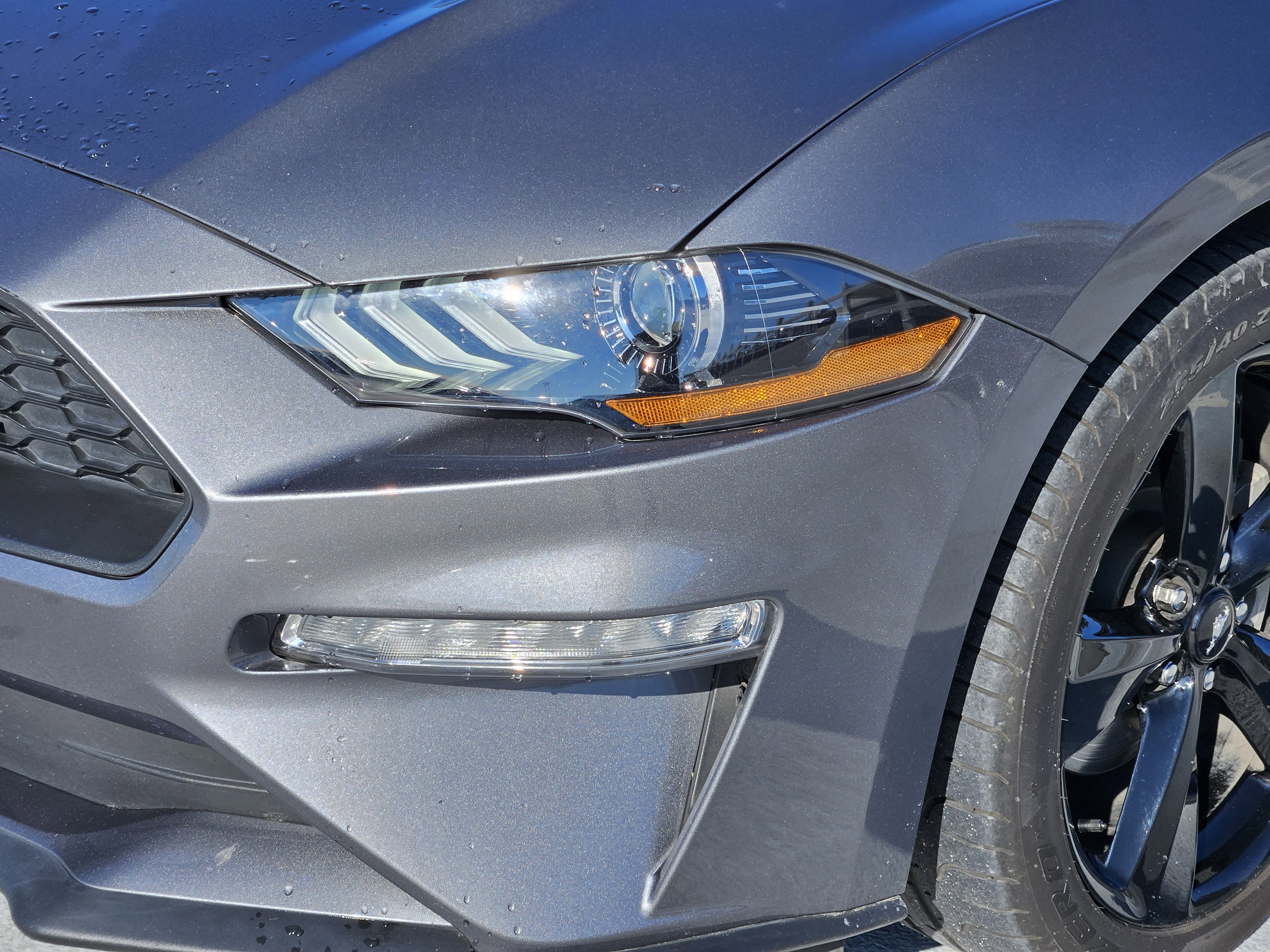 Used 2023 Ford Mustang EcoBoost w/ Equipment Group 101A image 11