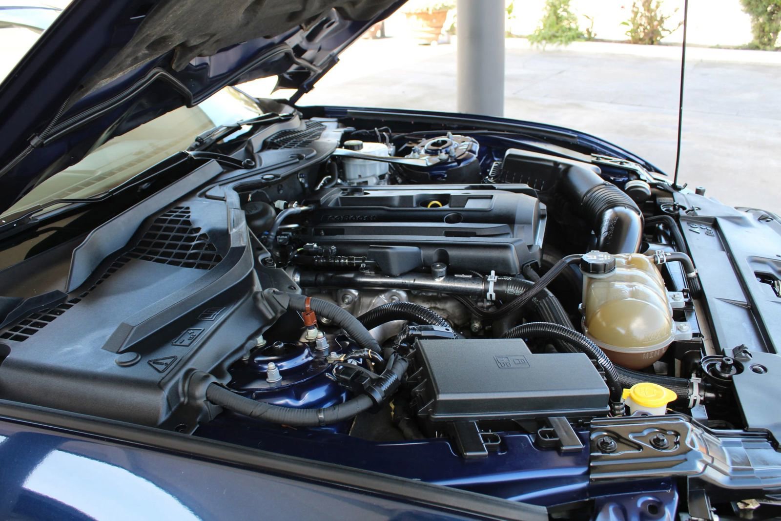 Used 2019 Ford Mustang Premium image 36