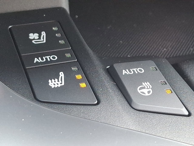 New 2025 Lexus LX 700h F Sport image 13