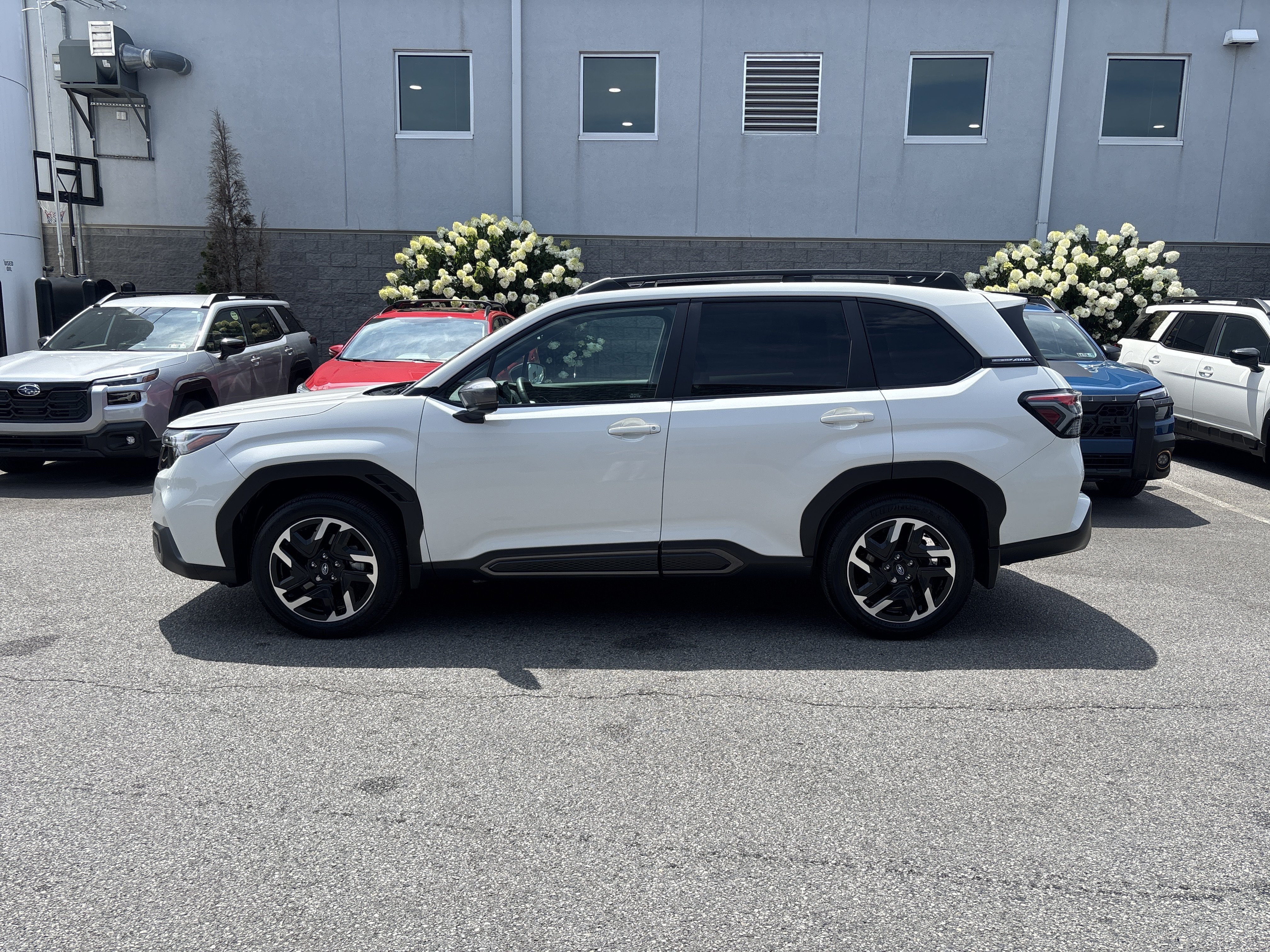 Used 2026 Subaru Forester Limited AWD/4WD image 18