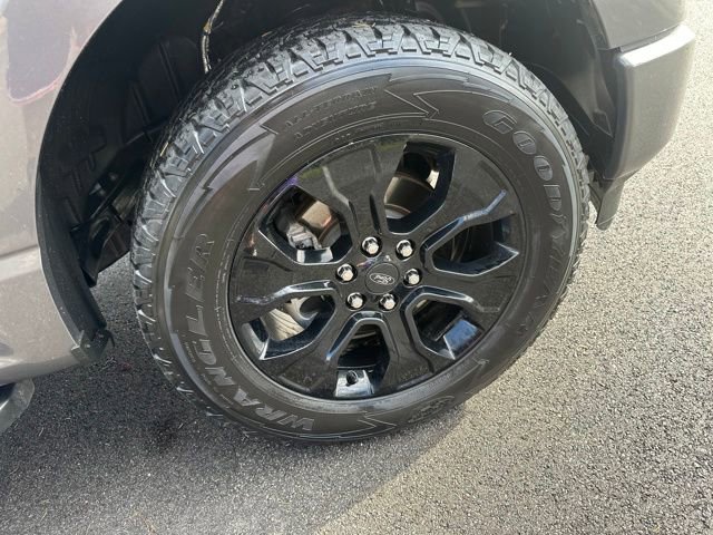 Used 2022 Ford F150 XL w/ STX Black Appearance Package image 11