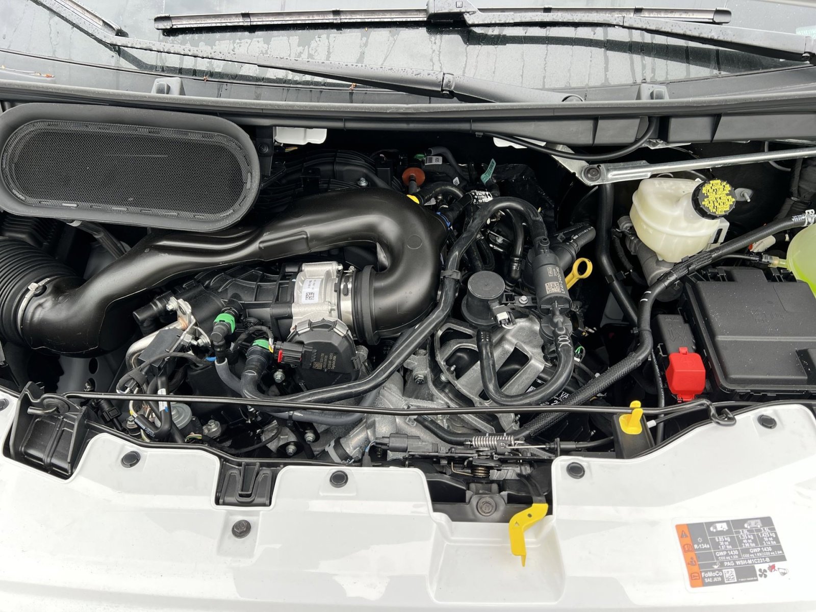 New 2026 Ford Transit 150 Low Roof w/ Load Area Protection Package image 25