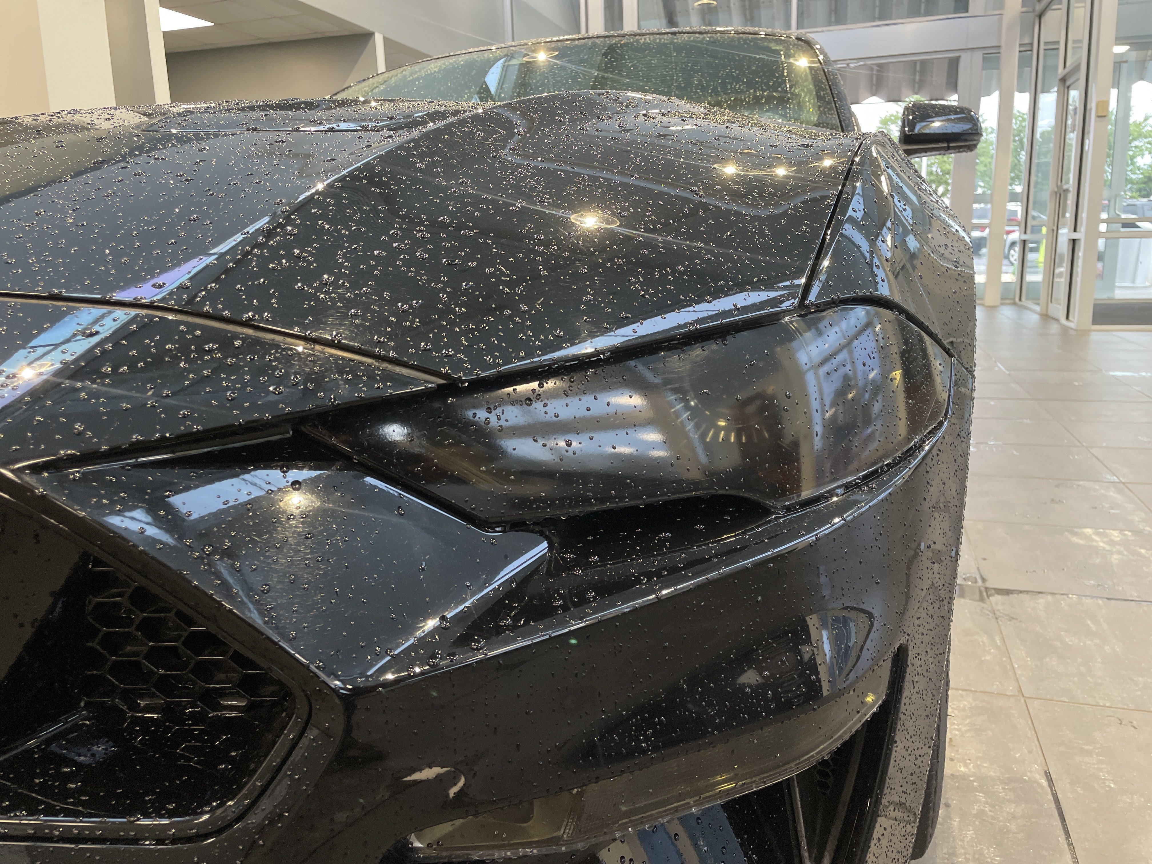 Used 2019 Ford Mustang GT Premium w/ Ford Safe & Smart Package RWD image 5