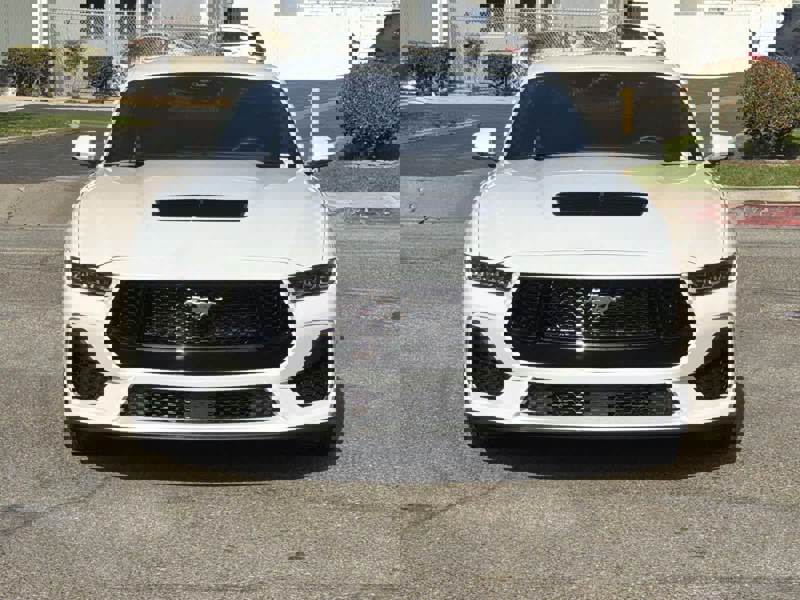 Used 2024 Ford Mustang GT Premium image 2