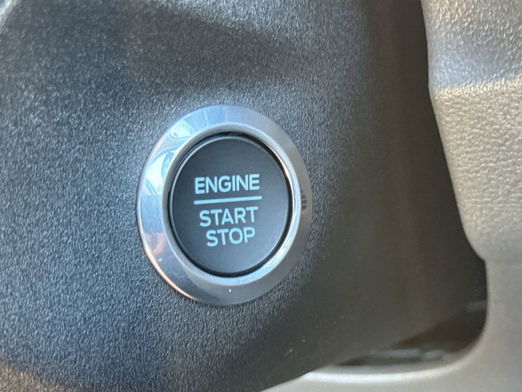 New 2026 Ford Transit 250 148 Medium Roof w/ Load Area Protection Package image 23