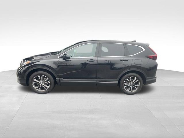 Used 2022 Honda CR-V EX-L image 4