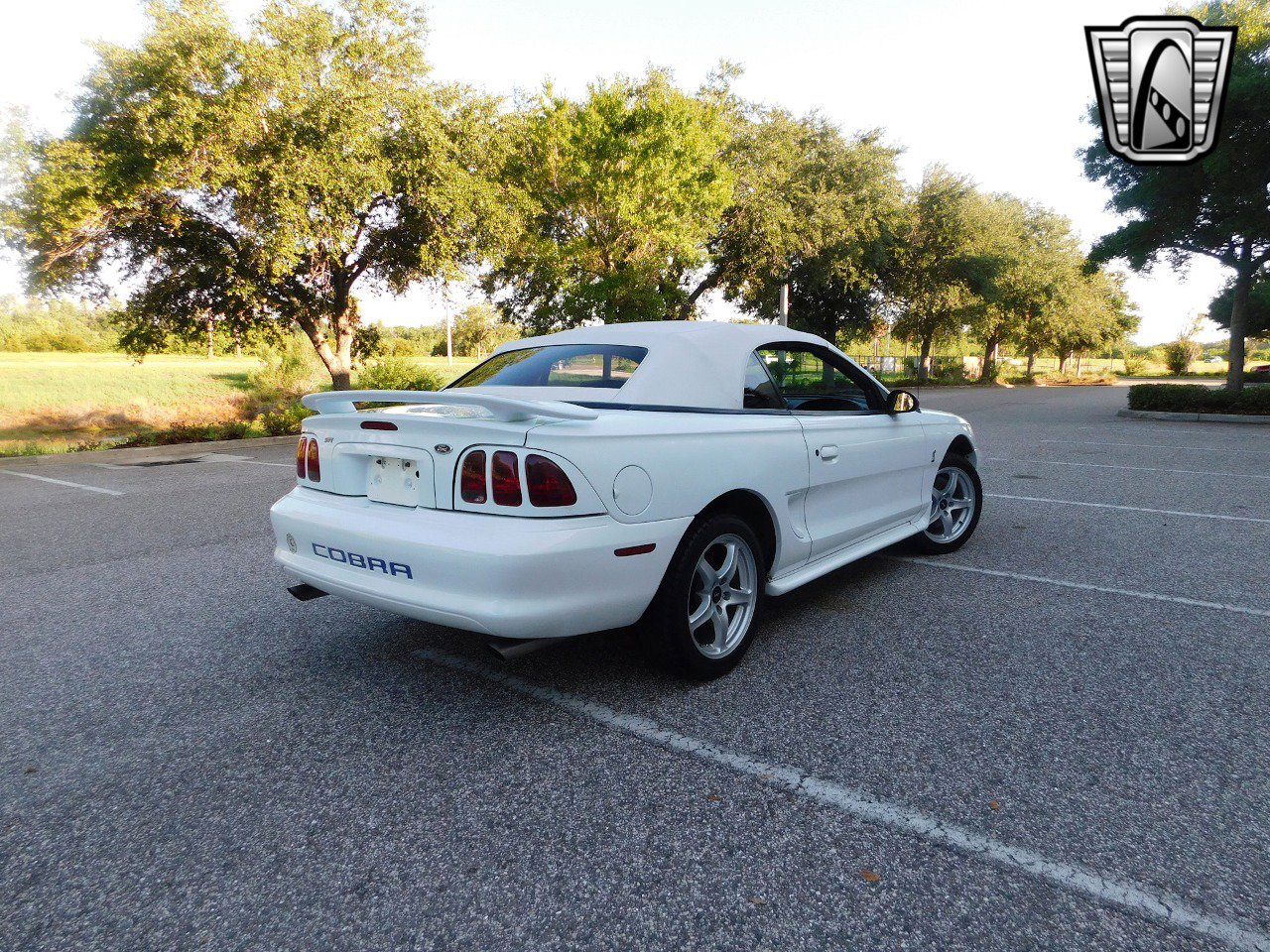 Used 1997 Ford Mustang Cobra image 7