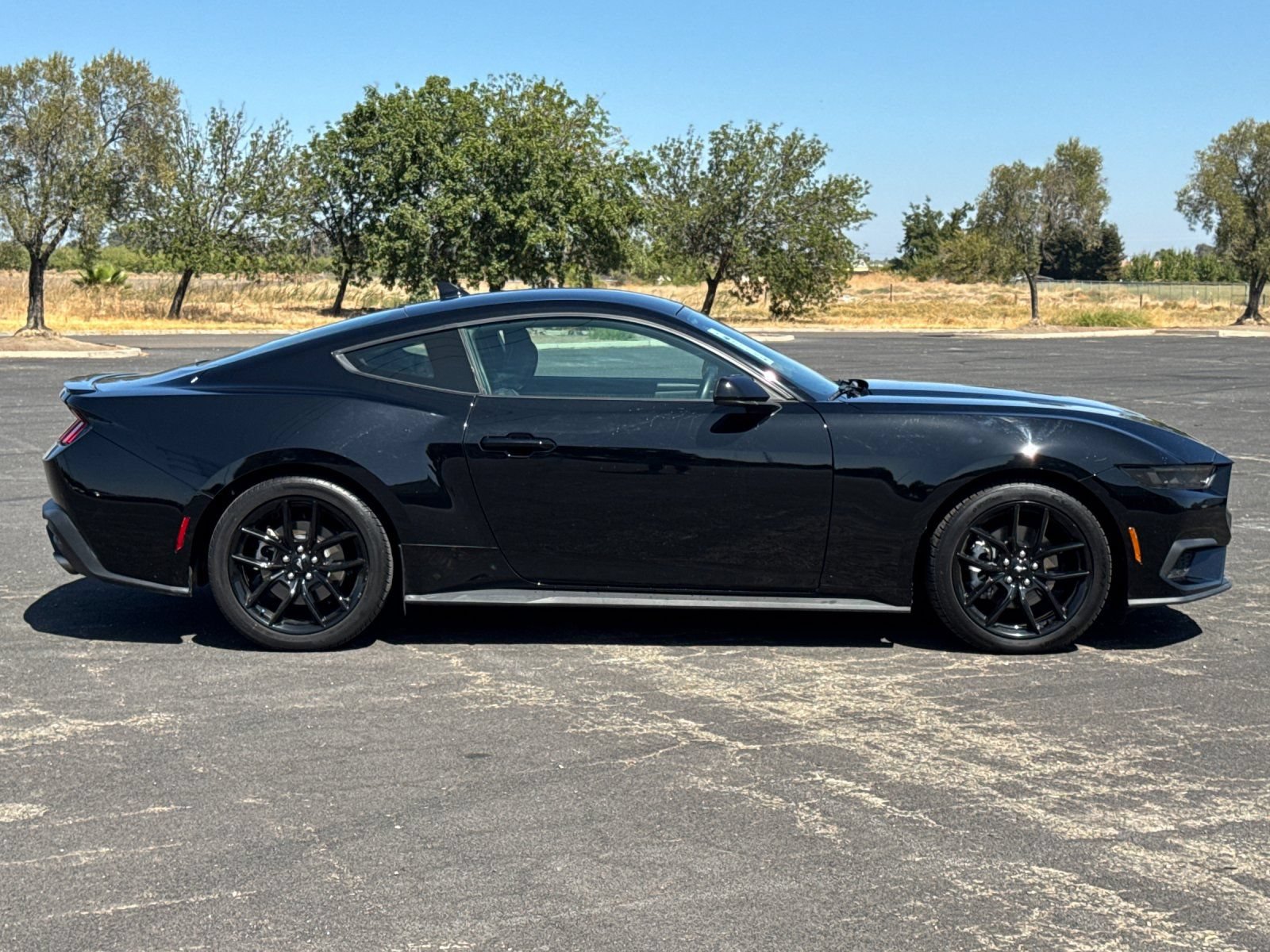 Used 2024 Ford Mustang Coupe RWD image 3