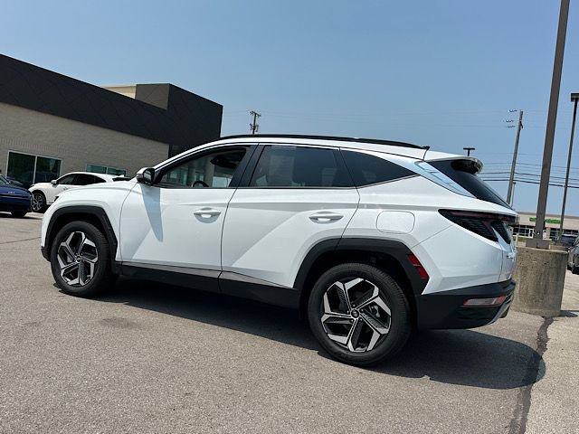 Used 2022 Hyundai Tucson Limited AWD/4WD image 2