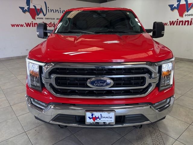 Used 2023 Ford F150 XLT w/ Equipment Group 302A High AWD/4WD image 2