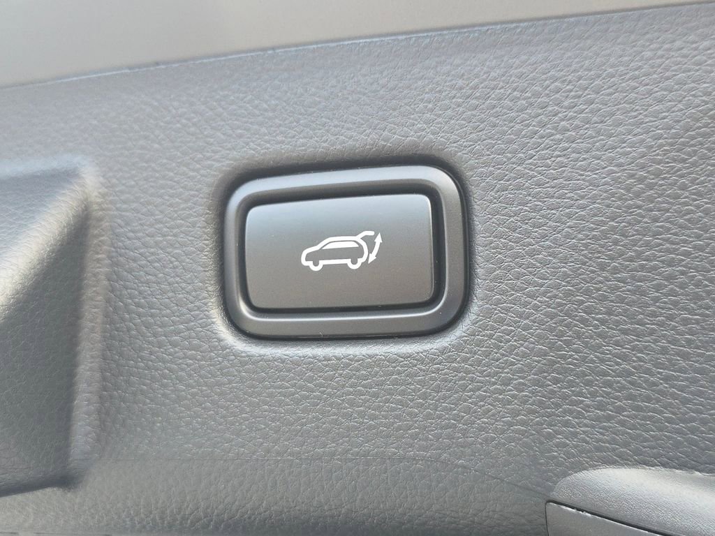 New 2026 Kia Seltos EX w/ EX Sunroof Package image 19