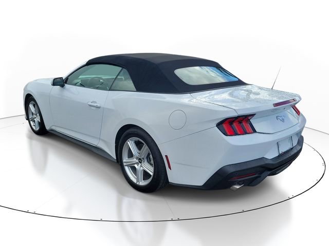 Used 2026 Ford Mustang Premium image 3