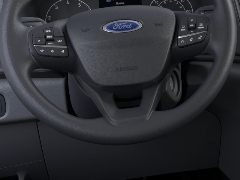 New 2025 Ford Transit 150 Low Roof w/ Load Area Protection Package RWD image 12