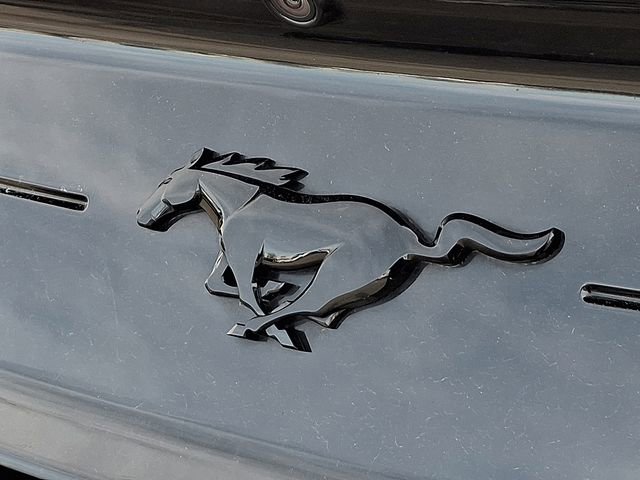 Used 2021 Ford Mustang Convertible w/ Equipment Group 101A image 33