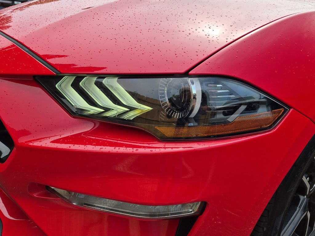 Certified 2021 Ford Mustang GT w/ Equipment Group 301A RWD image 24