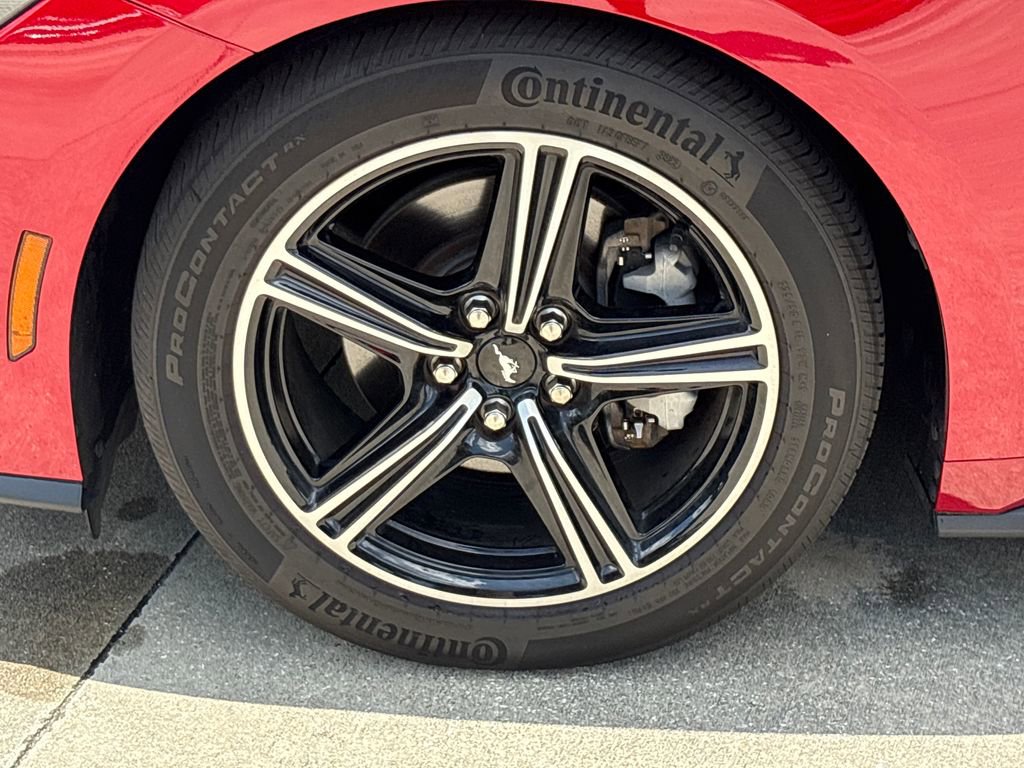 Used 2024 Ford Mustang Premium RWD image 11