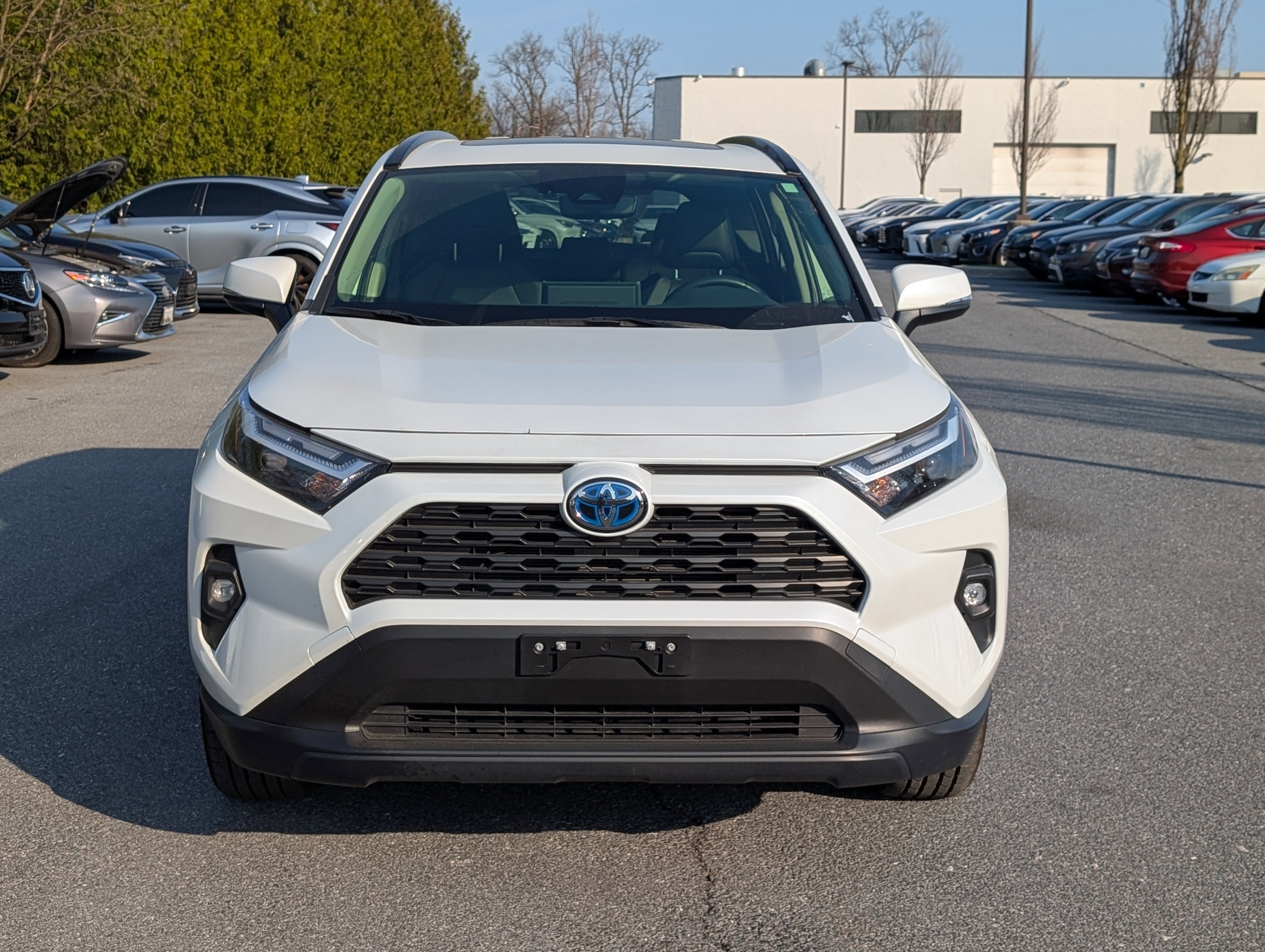 Used 2023 Toyota RAV4 XLE Premium image 8