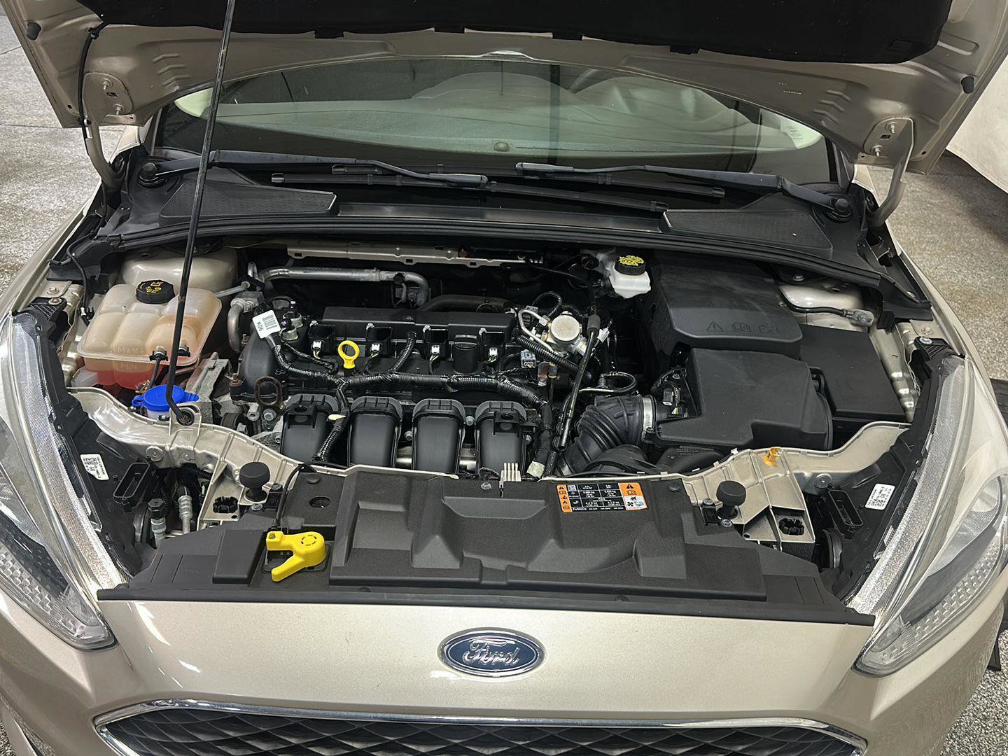 Used 2018 Ford Focus SE image 14