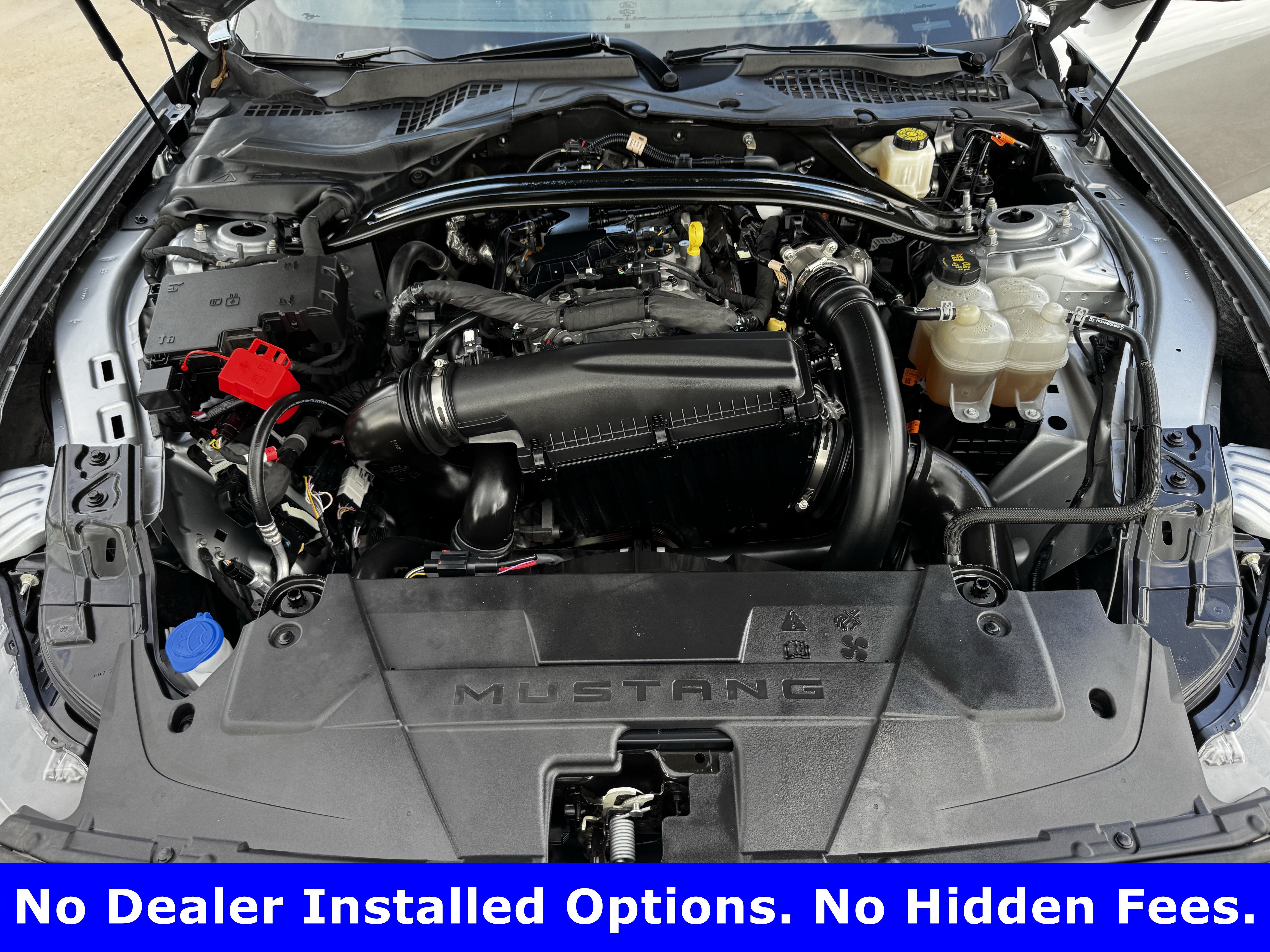 Used 2025 Ford Mustang Premium RWD image 25