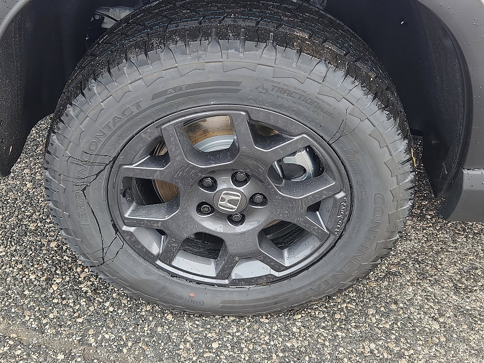 New 2025 Honda Pilot TrailSport image 5