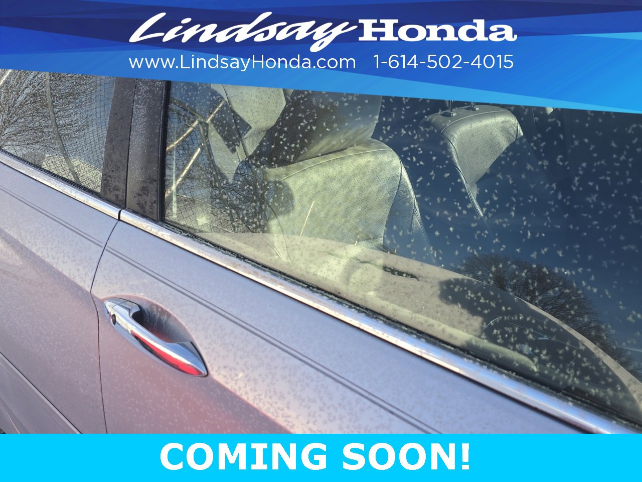 Used 2013 Honda Accord EX-L image 8