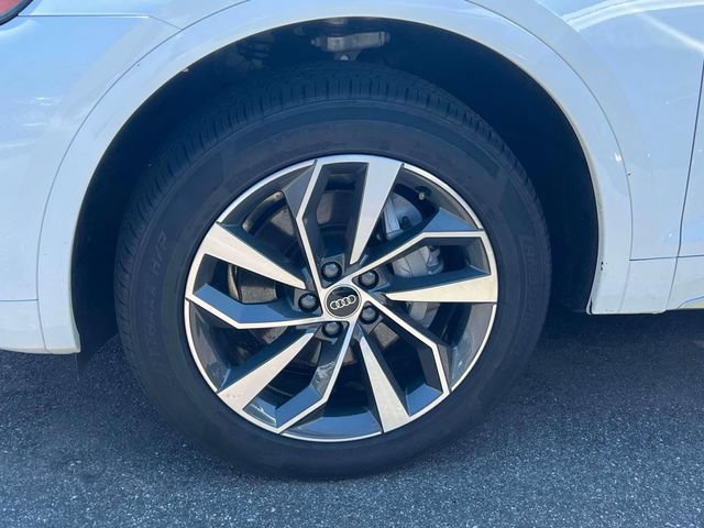 Used 2024 Audi Q5 2.0T Premium Plus AWD/4WD image 13