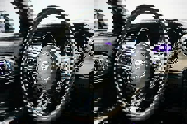 Used 2016 Ford Mustang GT Premium w/ Equipment Group 401A image 14