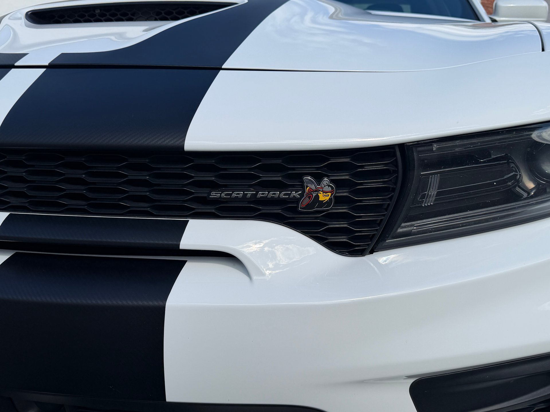 Used 2022 Dodge Charger Scat Pack RWD image 5