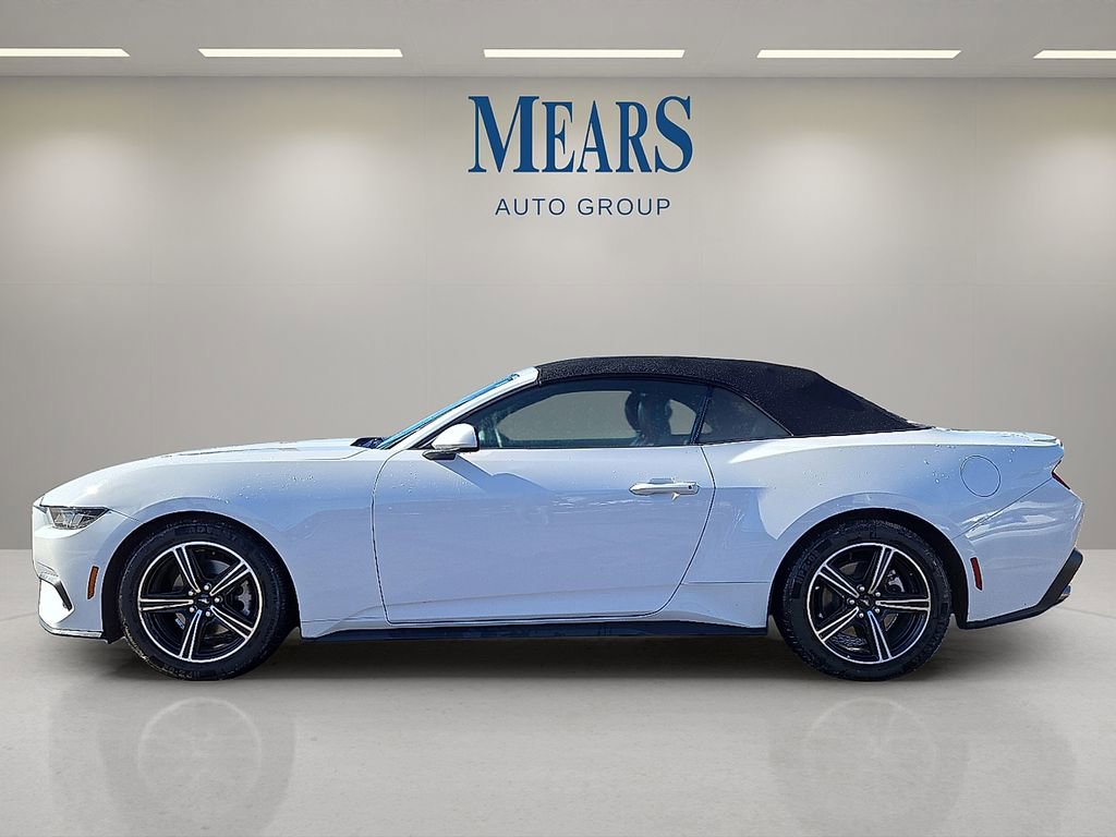 Used 2024 Ford Mustang Premium image 2