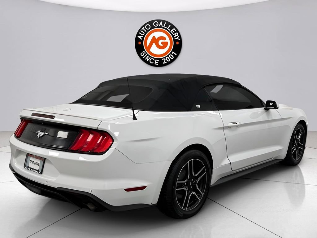 Used 2019 Ford Mustang Premium image 12