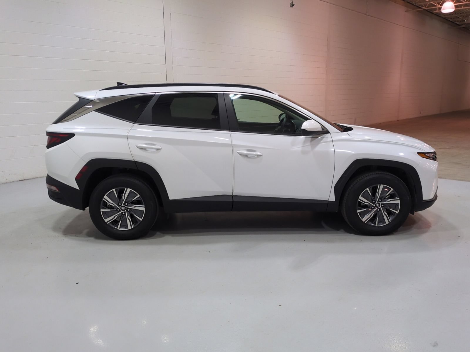 Certified 2024 Hyundai Tucson Blue AWD/4WD image 2