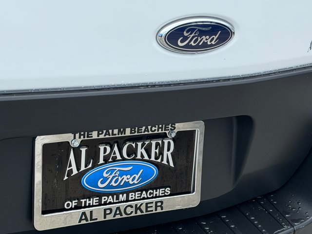 Certified 2025 Ford Transit 250 Low Roof w/ Exterior Upgrade Package RWD image 13