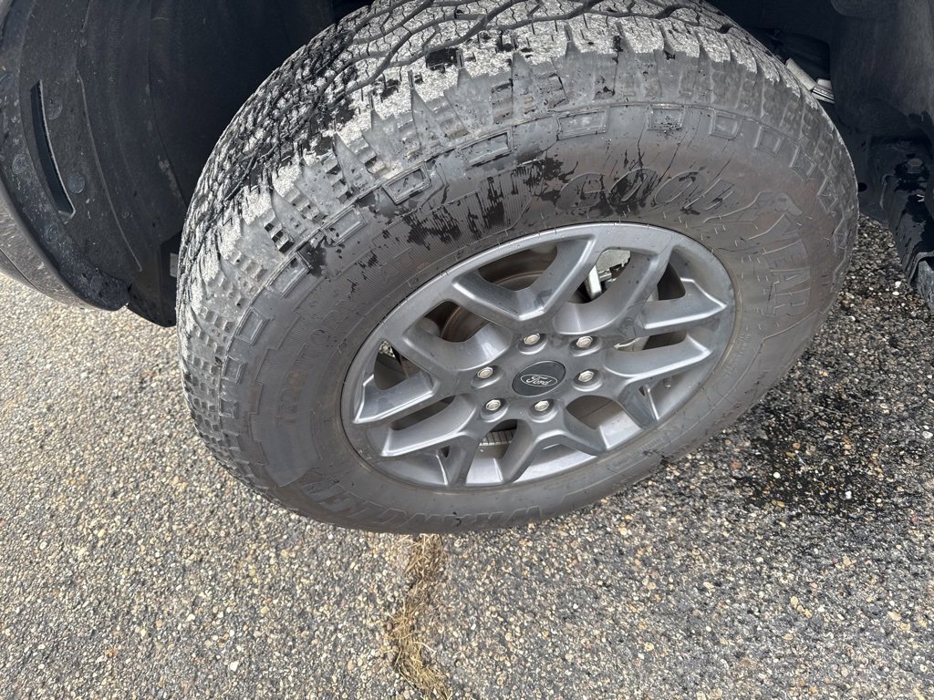 Used 2024 Ford Ranger XLT w/ Equipment Group 301A High image 5