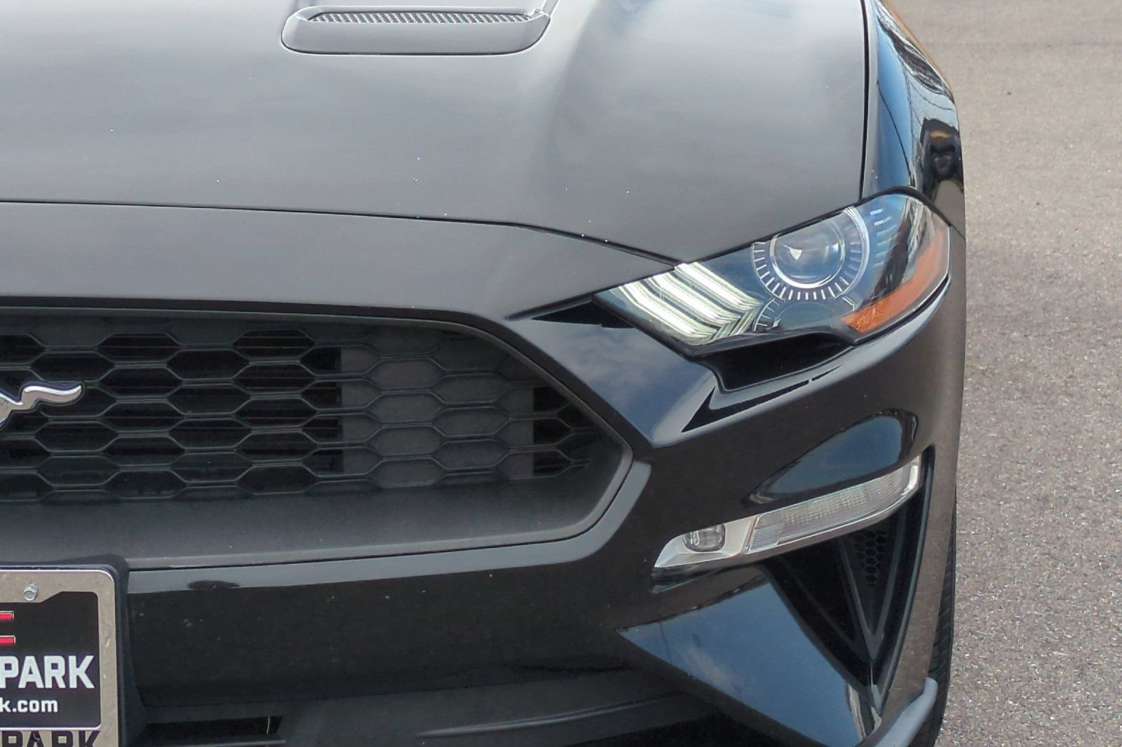 Used 2019 Ford Mustang Premium w/ Equipment Group 201A RWD image 52