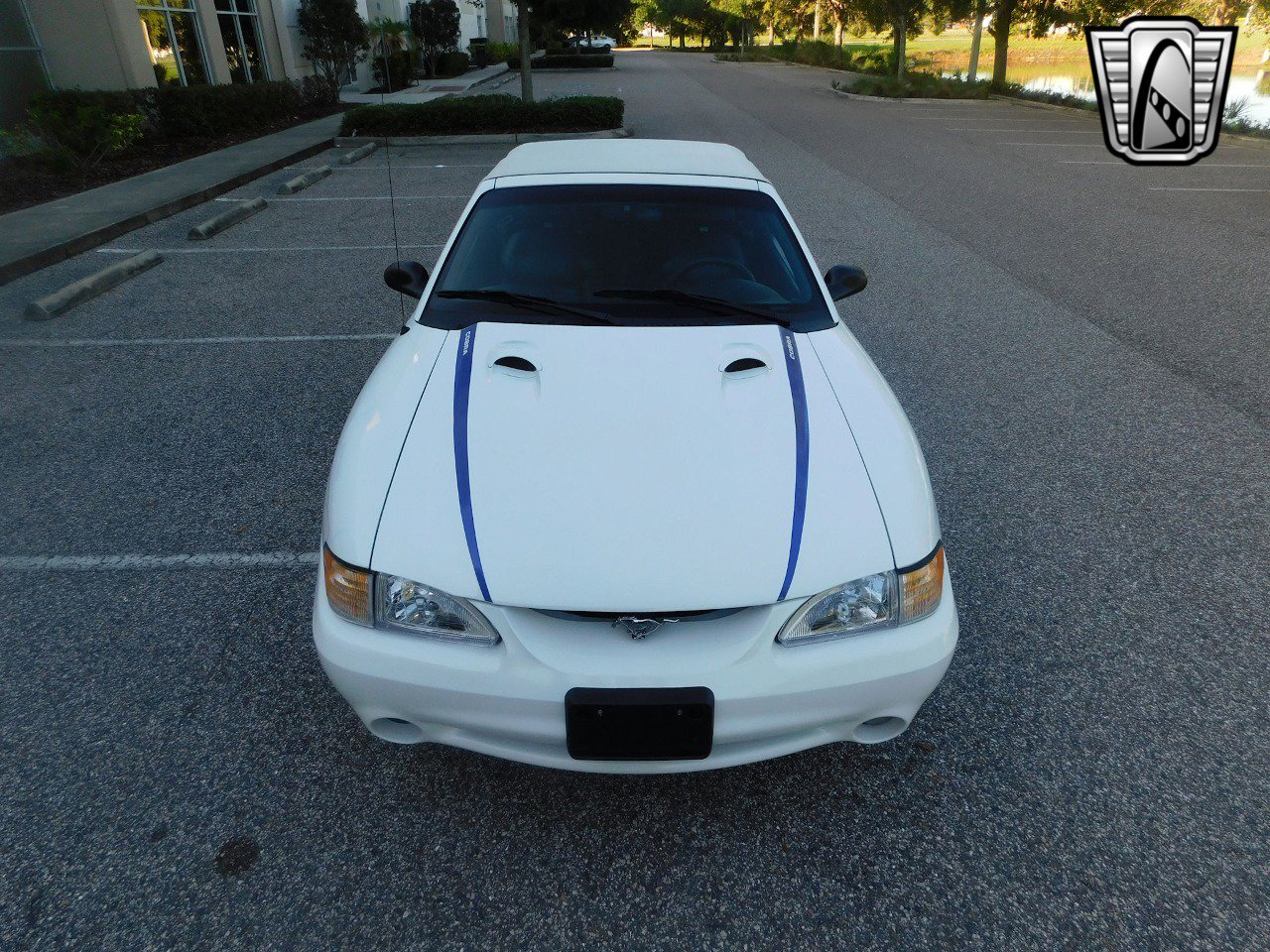 Used 1997 Ford Mustang Cobra image 25