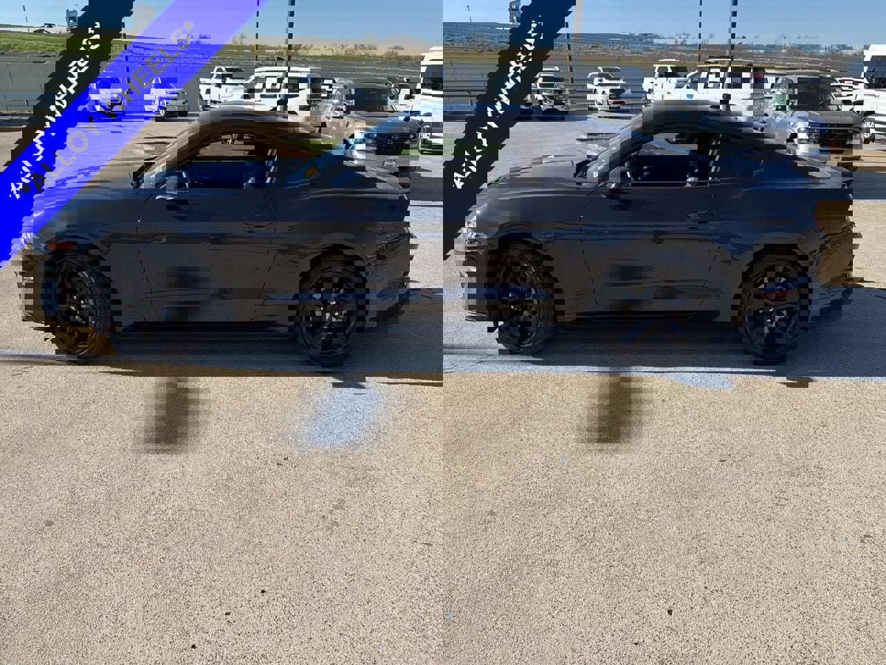 Used 2023 Ford Mustang Premium w/ Equipment Group 201A image 3