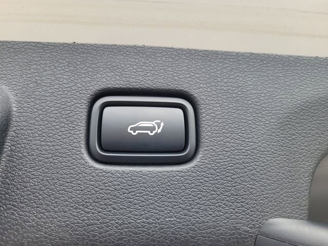 Used 2024 Kia Sportage X-Line w/ X-Line Premium Package AWD/4WD image 13