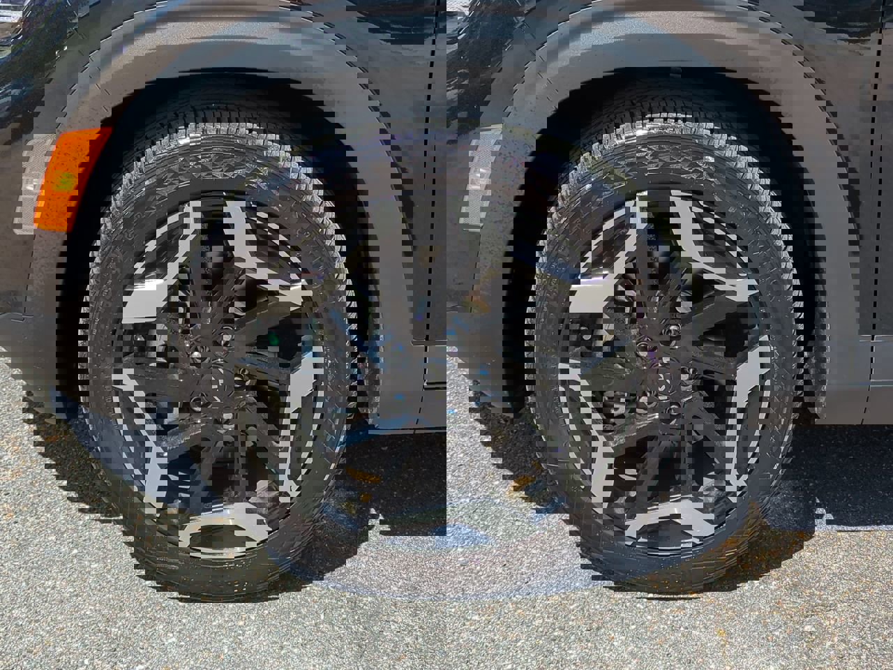 Certified 2024 Kia Seltos SX w/ SX Sunroof Package image 11